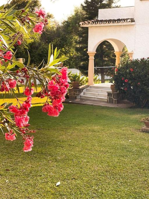 Villa Santa Cristina Cerca Del Mar Marbella Ngoại thất bức ảnh